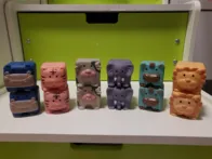 Woopie sensoriniai blokeliai