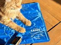 Vėsinantis kilimėlis
