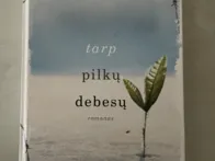 Knyga “tarp pilku debesu”
