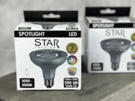 2vnt led lempučių