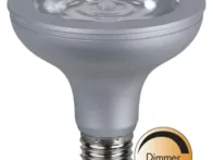 2vnt led lempučių