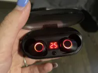 Belaides ausines puikios