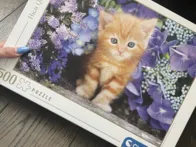 Dvi dėlionės puikios