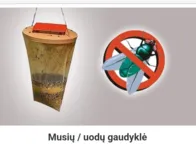 Musiu , uodu, širšiu gaudykle