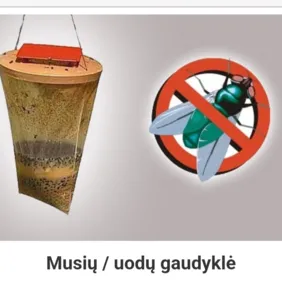 Musiu , uodu, širšiu gaudykle